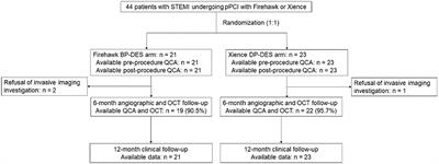 A Randomized Comparison of the Healing Response Between the Firehawk Stent and the Xience Stent in Patients With ST-Segment Elevation Myocardial Infarction at 6 Months of Follow-Up (TARGET STEMI OCT China Trial): An Optical Coherence Tomography Study